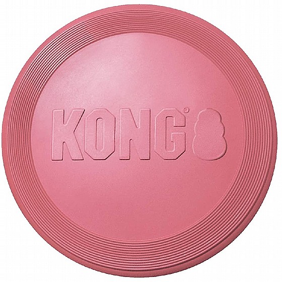 ���� �����, ���� ������ ����� KONG Flyer