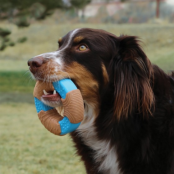 ���� �������� ���� ����� S ���� KONG CoreStrength