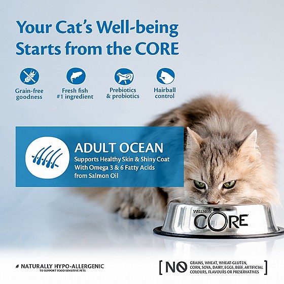 ����� ���� ����� ����, ����� �����, ��� ����� 1.75 �"� Wellness Core Ocean
