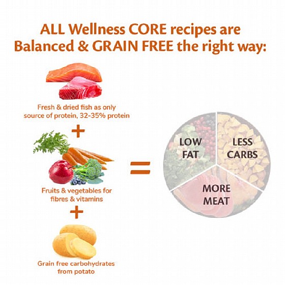 ����� ���� ����� ����� ������ ������ �������� ������� 10 �"� Wellness Core Ocean