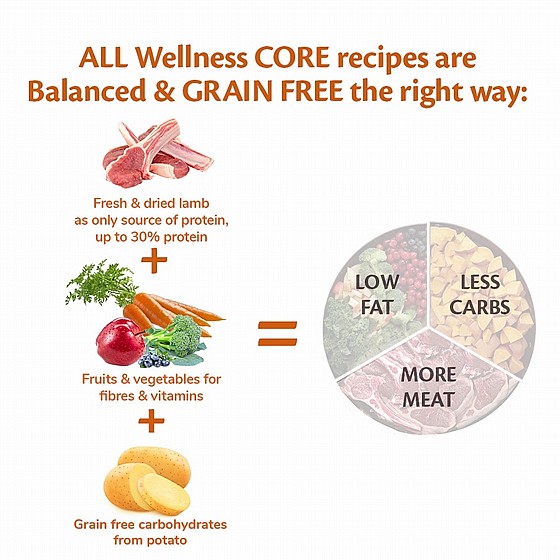 ����� ��� ������ ��� ������ 10 �"� Wellness Core