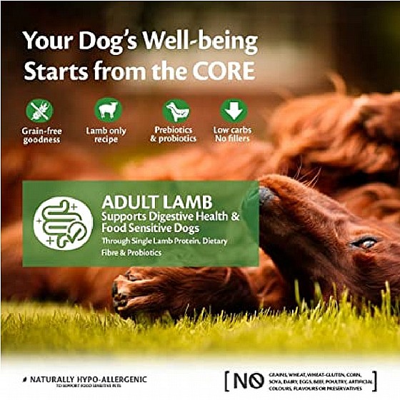����� ��� ������ ��� ������ 10 �"� Wellness Core