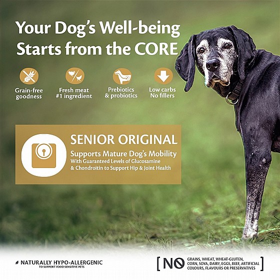 ����� ��� ����� ������ ������� 7+ ��� ������  10 �"� Wellness Core Senior