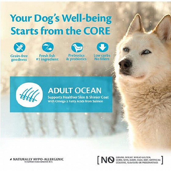 ����� ���� ����� ����� ������ ������ �����  5 �"� Wellness Core Ocean