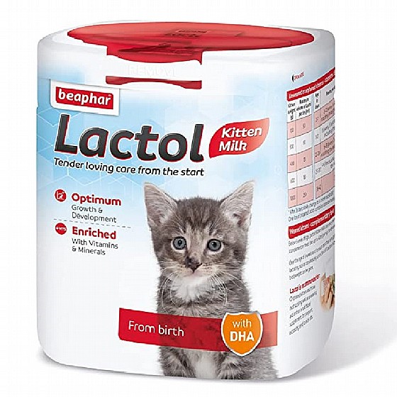 ���� ����� ��� ����� ����� 500 �` �� ������ ����� beapher Lactol