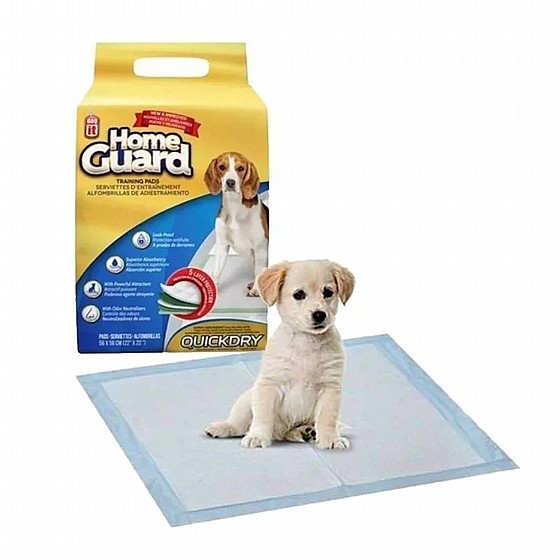 ����� ����� 100 �� Dogit Home Guard