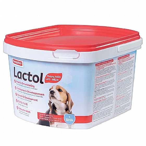 ���� ����� ��� ����� ������ 1 �"� �� ������ ����� beapher Lactol