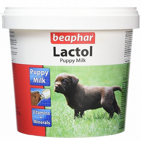 ���� ����� ��� ����� ������ 250 �` �� ������ ����� beapher Lactol