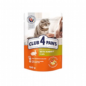 CLUB 4 PAWS פאוץ` לחתול עם ארנב בג'לי 100 גרם CLUB 4 PAWS פאוץ` לחתול עם ארנב בג'לי 100 גרם