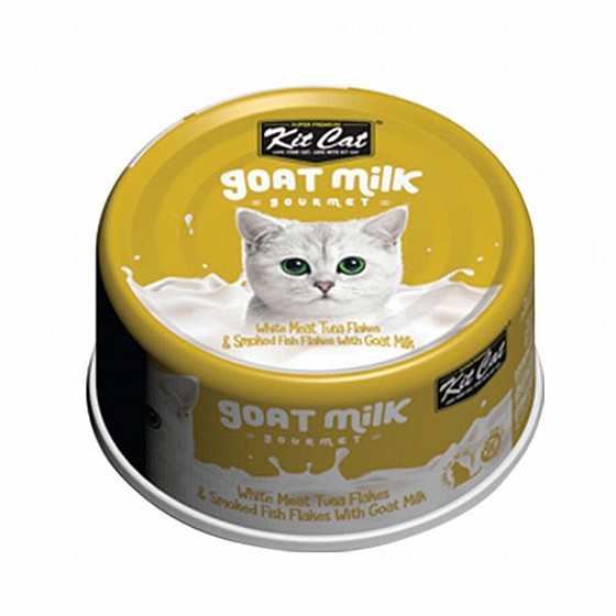 ��� �� Kit Cat ����� �� ��� ���� ���� ���������