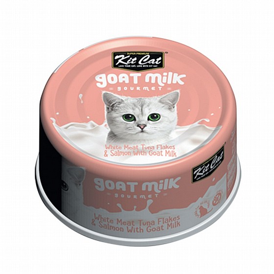 ��� �� Kit Cat ����� �� ��� ���� ���� ������