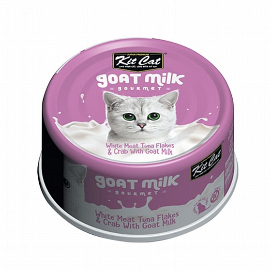 ��� �� Kit Cat ����� �� ��� ���� ���� �����
