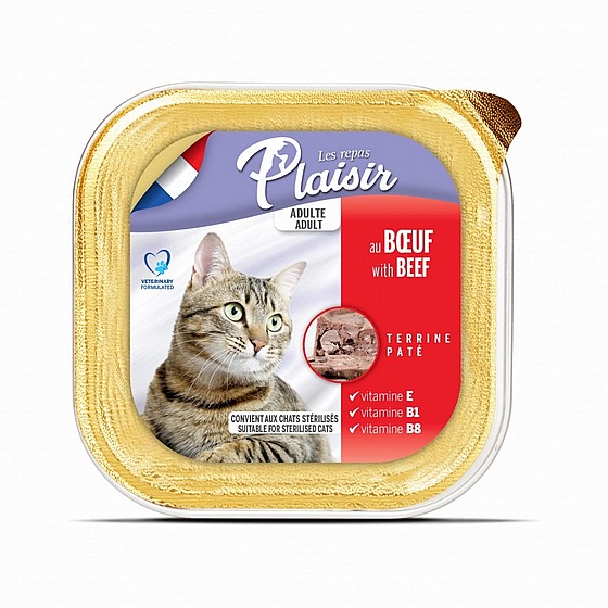 ����� ���� ��� ��� ����� 100 ��� Plaisir