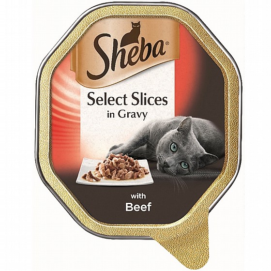 ���� ���� ��� ��� ������� 85 �� SHEBA Mousse with chicken 