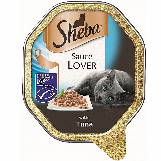 ���� ���� ���� ������ ����� ������� 85 �� SHEBA  Sauce with turky 