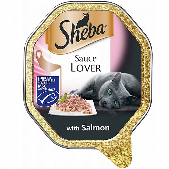 ���� ���� ���� ������ ����� ������� 85 ��SHEBA Sauce with turky   