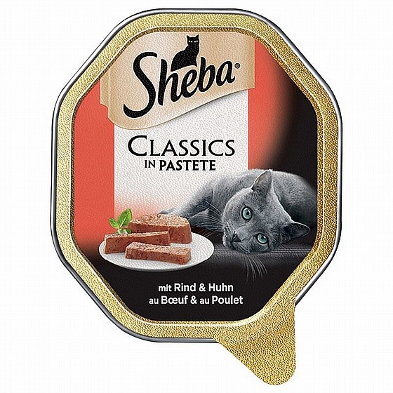 ���� ���� ����� ����� ������� 85 ��SHEBA Sauce with salmon   