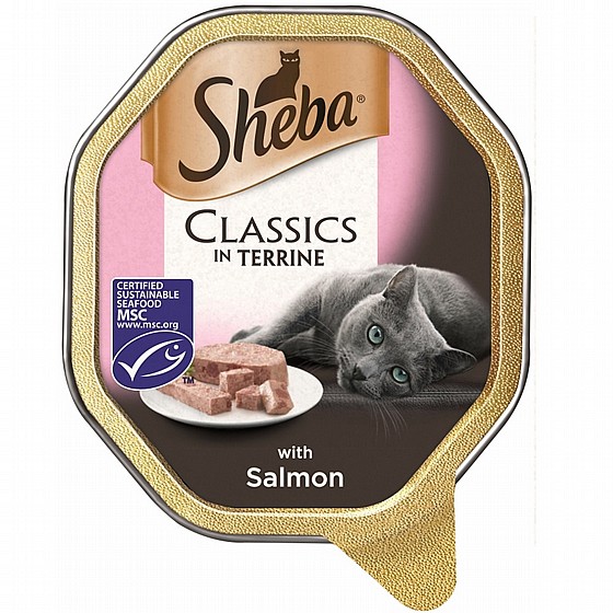 ���� ���� ��� ��� ���� ������� 85 �� SHEBA Classics Beef and Chicken