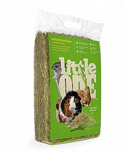 ���� ���� - ���� ���� Little one