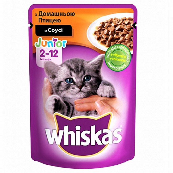 ������ ���� ������ ����� ������ ���� ��� 100 ��� Whiskas