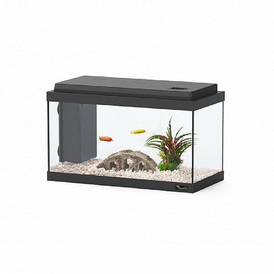 �������� �� ��� 40 ���� ����� - ����� �������  AQUA ATLANTIS