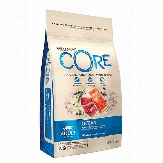 ����� ���� ����� ����, ����� �����, ��� ����� 4 �"� Wellness Core Ocean