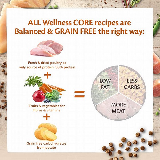 ����� ���� ����� ����, ����� �����, ��� ����� 4 �"� Wellness Core Ocean