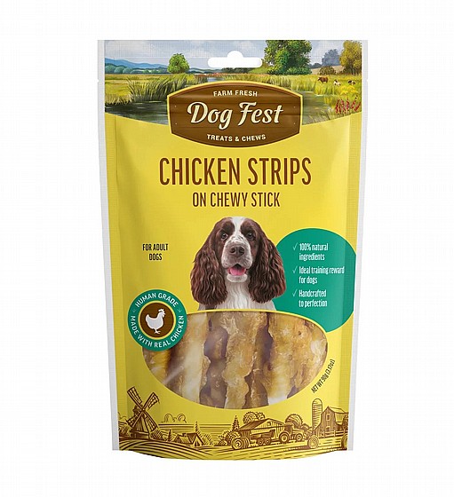 DOG FEST ��� ��� ���� ��� �� ��� �����