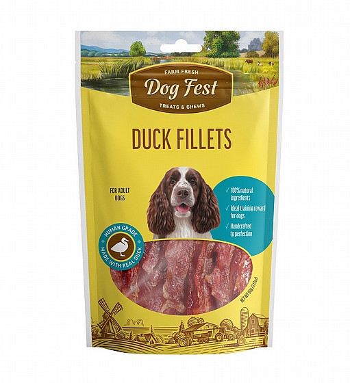 DOG FEST ��� ��� ���� ������ ���