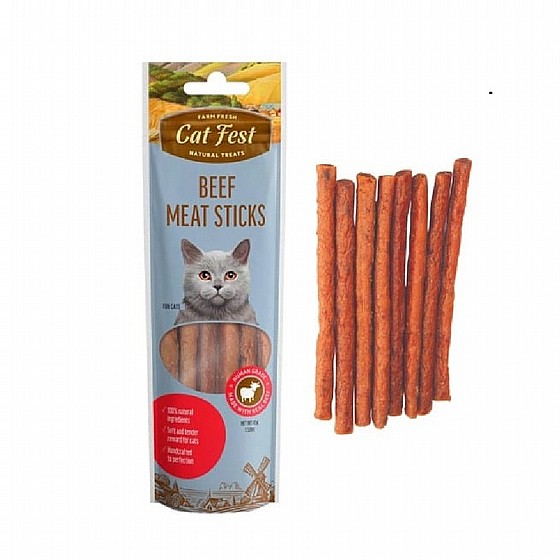 ���� ��� ��� ������� ����� ��� 45 ���  Cat Fest