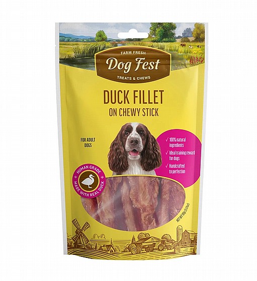 DOG FEST ��� ��� ��� ����� ���� ���� �����