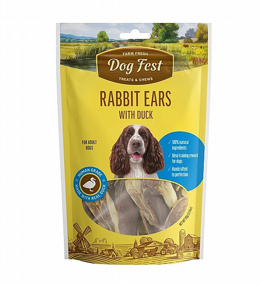 DOG FEST ��� ��� ���� ����� ���� �� ��� �����