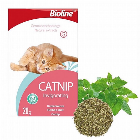 ������ ��� ����� ����� 20 ��� Bioline 