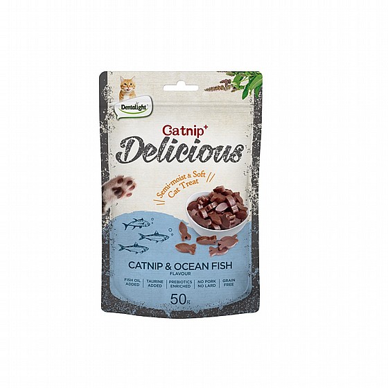 ����� ���� ������� ���� ����� ���� �� Dentalight Delicious
