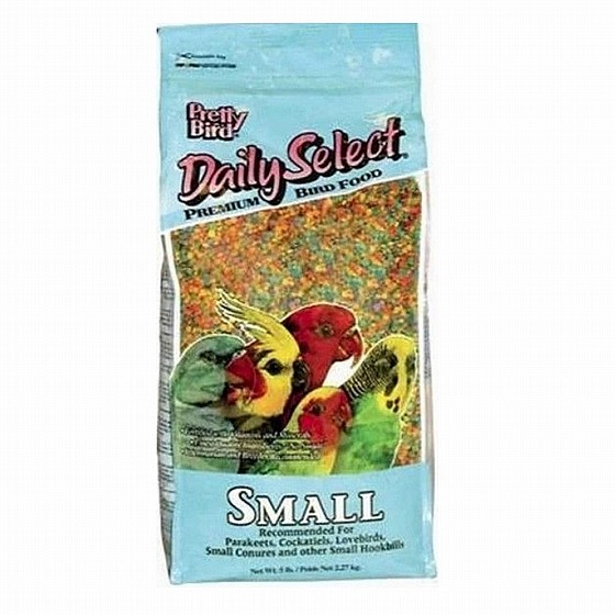 ����� ���� ������ ������ ��� 908 ���  Pretty Bird