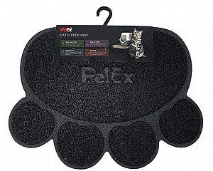 ���� ����� ���� ����