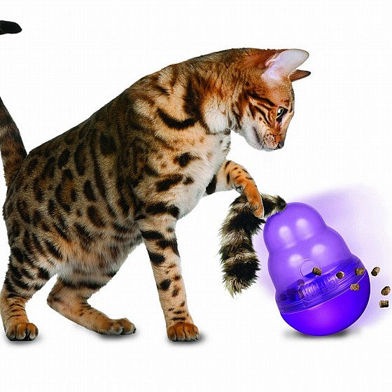 ���� ����� ���� S, ���� ���� KONG Wobbler