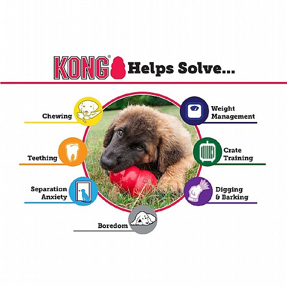 ���� ������� ������, ���� M, ���� ���� ������  KONG Extreme