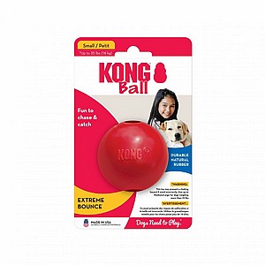 ����  ���� ������ �����,  ���� M, ���� ������ �������, ������ ����� KONG  Ball