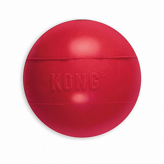 ����  ���� ������ �����,  ���� M, ���� ������ �������, ������ ����� KONG  Ball