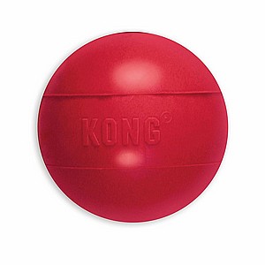 ����  ���� ������ �����,  ���� M, ���� ������ �������, ������ ����� KONG  Ball