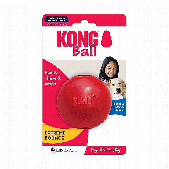 ����  ���� ������ �����,  ���� M, ���� ������ �������, ������ ����� KONG  Ball