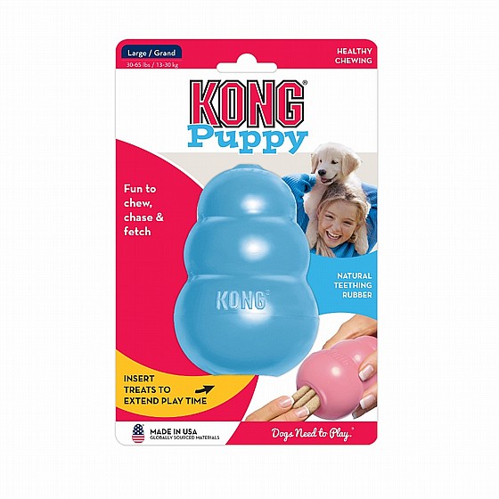 ���� ������, ���� XS, ����� �����  KONG Puppies