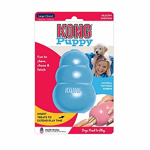 ���� ������, ���� XS, ����� �����  KONG Puppies