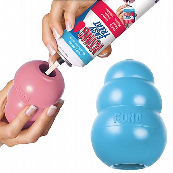 ���� ������, ���� XS, ����� �����  KONG Puppies