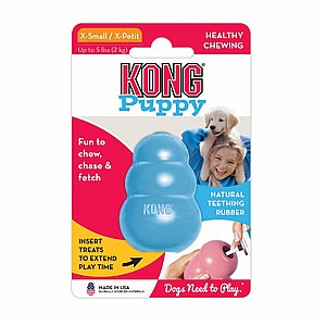 ���� ������, ���� XS, ����� �����  KONG Puppies