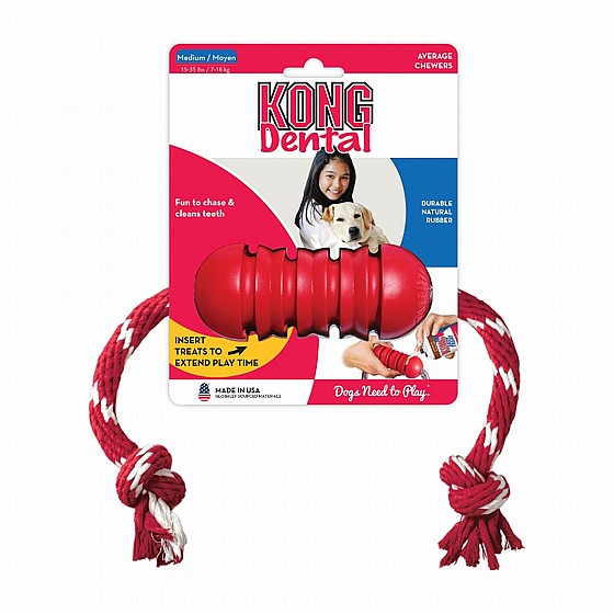 ���� ������ ����,  ���� L, ���� ����� ����� ������,   Kong  Classic Dental