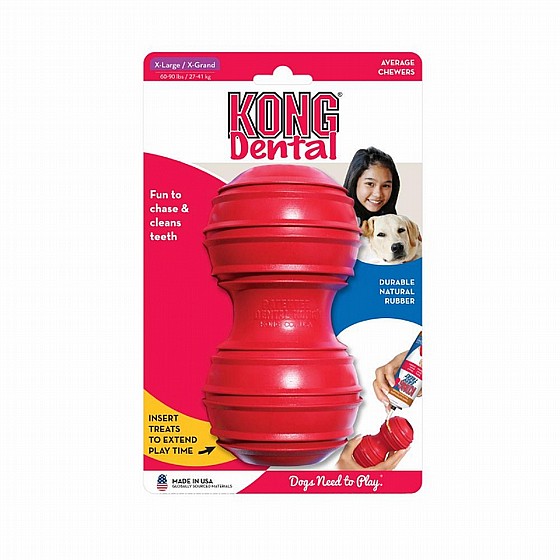 ���� ������ ����,  ���� L, ���� ����� ����� ������,   Kong  Classic Dental