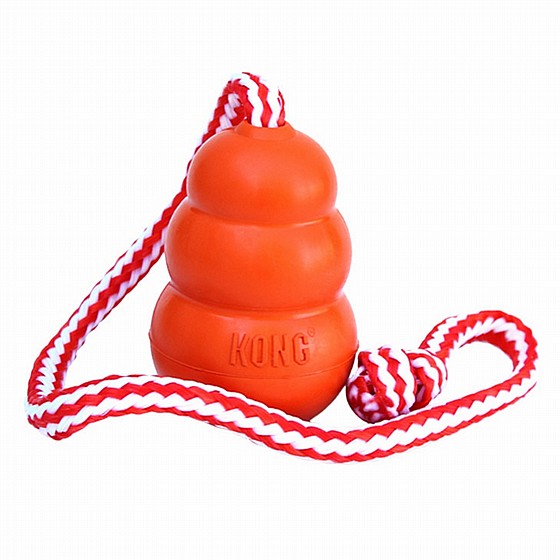 ���� �����, ���� L, ����� ����� ������ ������  KONG Aqua 