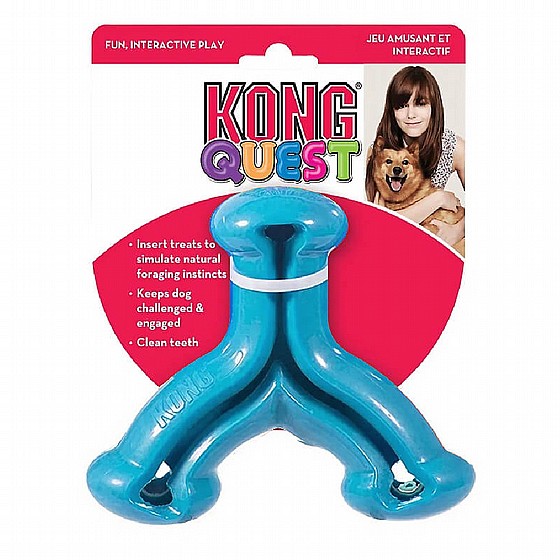 ���� ����� ���� S, ���� ������ ����� ������  KONG Quest Wishbone